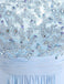 Light Blue Lace See Through Chiffon Long Evening Prom Dresses, 17529
