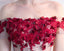 Off Shoulder Red Lace Cheap Short Homecoming Dresses Online, CM692