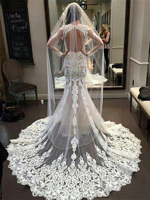 See Through Mermaid Long Sleeves V-neck Lace Wedding Dresses Online,WD734